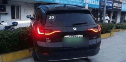 国产车抠标王视频,揭秘国产车抠标王背后的故事