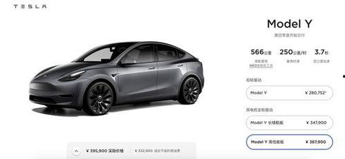 国产model y视频