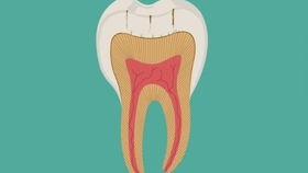 防蛀牙国产动画视频播放,防蛀牙视频播放启示录