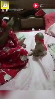 国产女儿视频种子