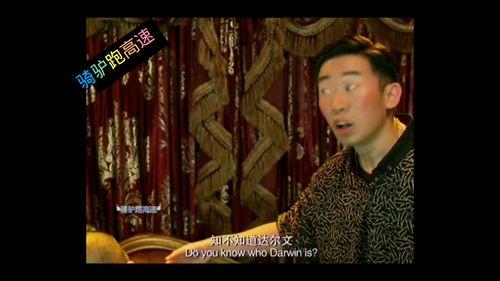 国产打脸搞笑视频大全集,笑料横生，欢乐无限