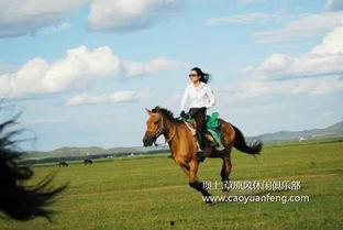 国产双人骑马视频大全网站,双骑共赏骏马奔腾