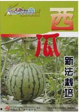 国产西瓜种植视频