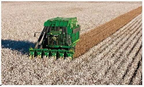 国产摘棉机视频,革新农业机械化新篇章