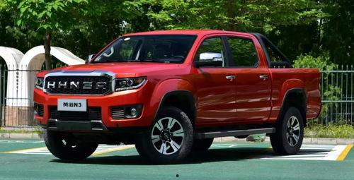 国产猛禽实拍视频在线