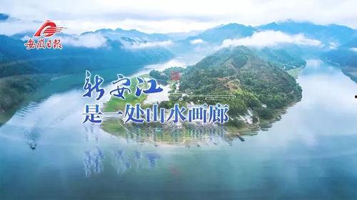 青青国产观观线视频